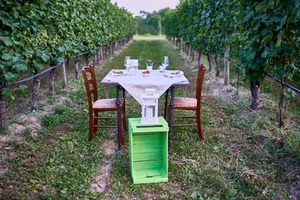 Cena in vigna tavolo coppia.jpg